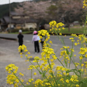 ４月１３日　八幡様散歩